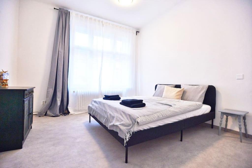 Airy & Bright Flat In Dejvice By Castle * Praga